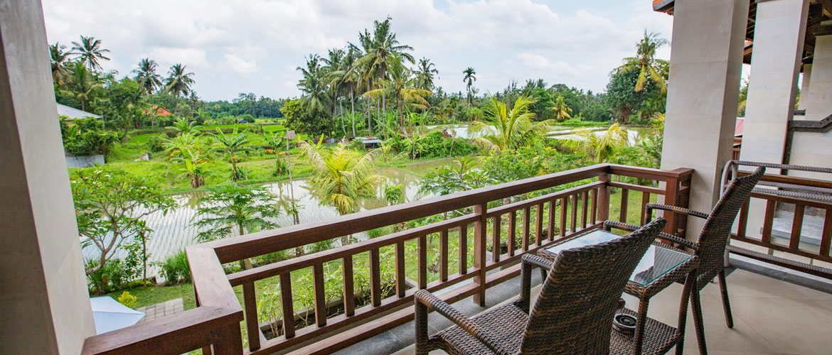 Room View